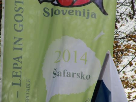 Sprejem gostov iz Velikih Lašč in dvig zastave v čast Šafarskemu v okviru vseslovenske akcije Moja dežela-lepa in gostoljubna 7